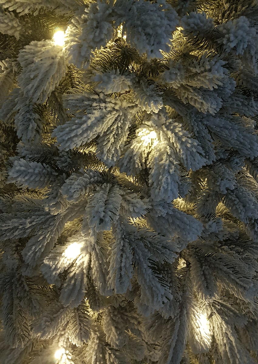 Качественная картинка Ель Снежная королева заснеженная с лампами 300 см.