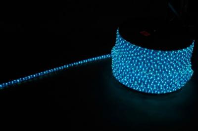 Дюралайт (световая нить) со светодиодами, 3W 50м 230V 72LED/м 11х18мм, синий-белый, LED-F3W с 2 загл