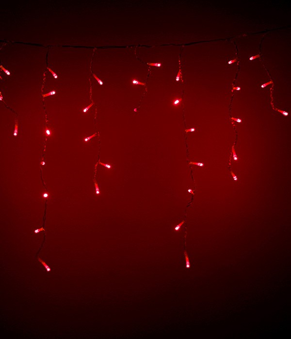 Качественная картинка Светодиодная бахрома Laitcom 4,9x0,5м, 240 LED, IP54, прозр. пр., красный
