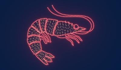 Изображение Светодиодная консоль Креветка RichLed