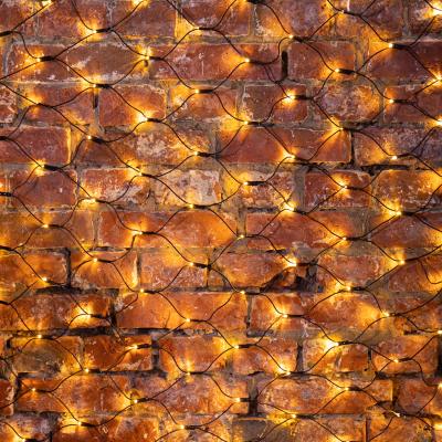 Cветодиодная cеть NEON-NIGHT 1х1,5м ТЕПЛЫЙ БЕЛЫЙ черный ПВХ IP65 динамика 230В