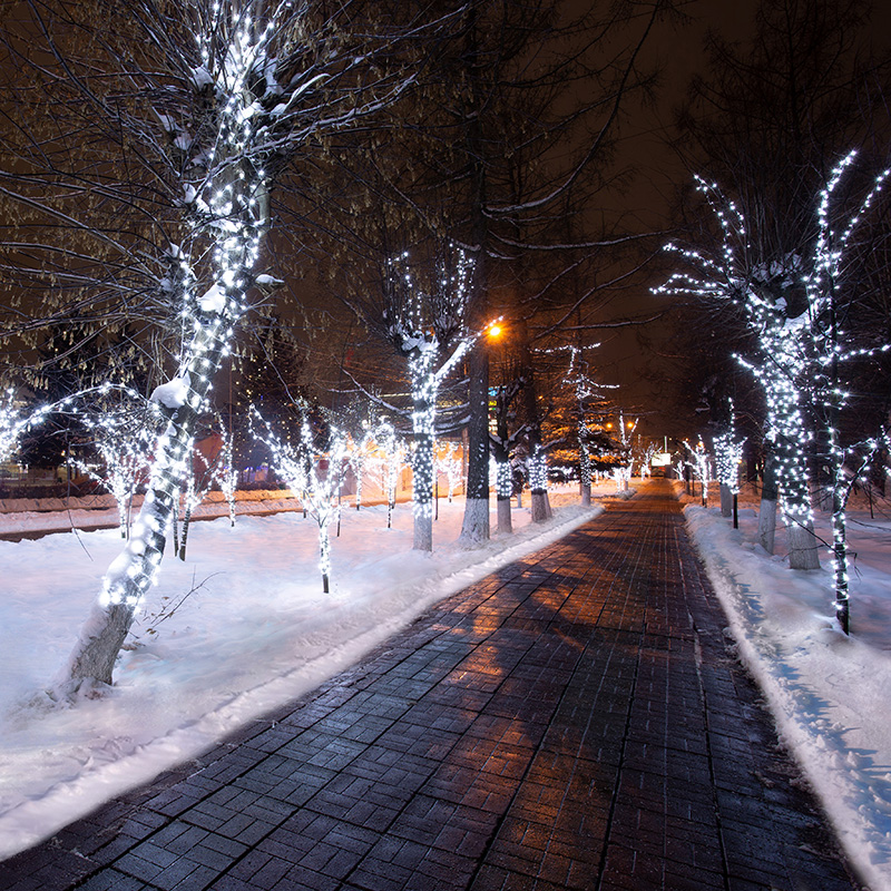 Качественная картинка Гирлянда NEON-NIGHT Клип-лайт 12 V, прозрачный ПВХ, 150 мм, белый