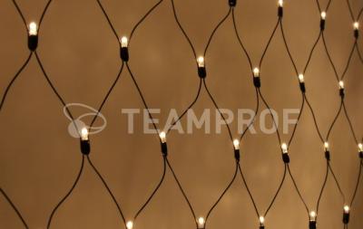 Светодиодная сетка Teamprof 2х3м, статика, IP65, черный провод, теплая белая Светодиодная сетка Teamprof 2х3м, статика, IP65, черный провод, теплая белая