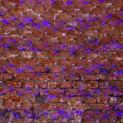 Cветодиодная cеть NEON-NIGHT 2х1,5м БЕЛЫЙ/СИНИЙ черный ПВХ IP65 динамика 230В