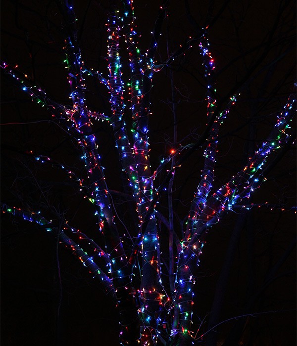 03-064 Комплект гирлянды Laitcom, с контр.60м., 3x20м, 600 LED,24V, прозр. пр., силикон, RGB* Качественная картинка 03-064 Комплект гирлянды Laitcom, с контр.60м., 3x20м, 600 LED,24V, прозр. пр., силикон, RGB*