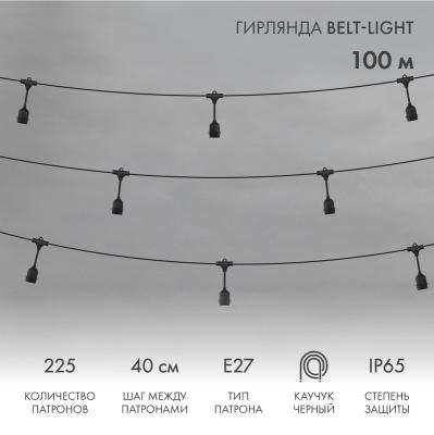 Белт-Лайт NEON-NIGHT 2 жилы, 100м, шаг 40см, 225 подвесных патронов Е27, IP65, черный круглый провод