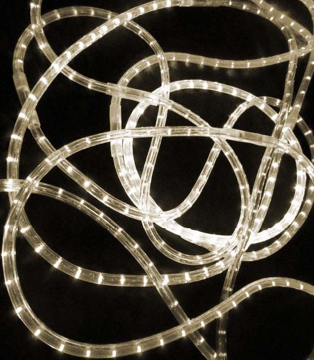 Качественная картинка Дюралайт 2-х проводной RichLed 24В, пост. свечение, теплый белый