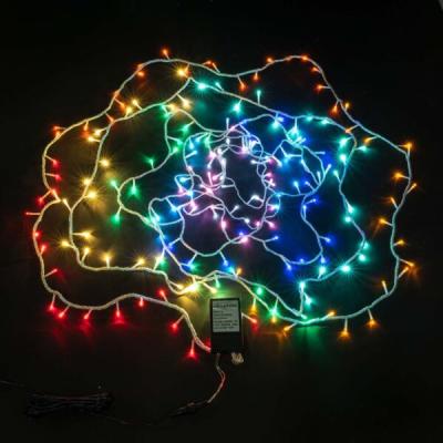 Светодиодная нить Laitcom с эффектом бегущий огонь, 10м, 24V, 200 LED, IP65, проз.пр., мульти Светодиодная нить Laitcom с эффектом бегущий огонь, 10м, 24V, 200 LED, IP65, проз.пр., мульти
