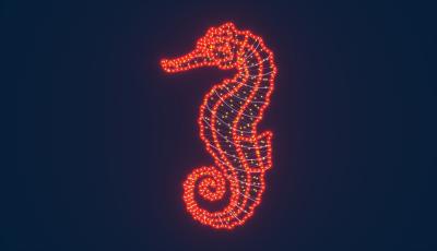 Светодиодная консоль Морской конёк RichLed